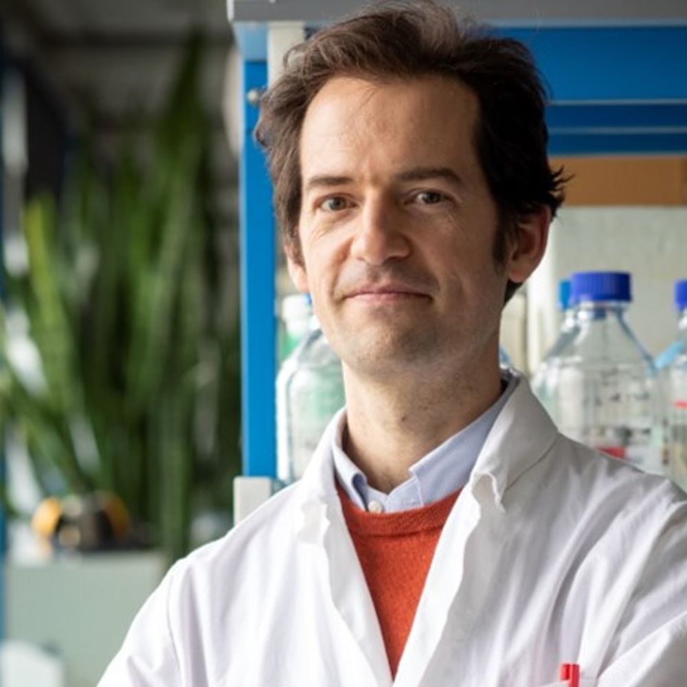 Julien Henri