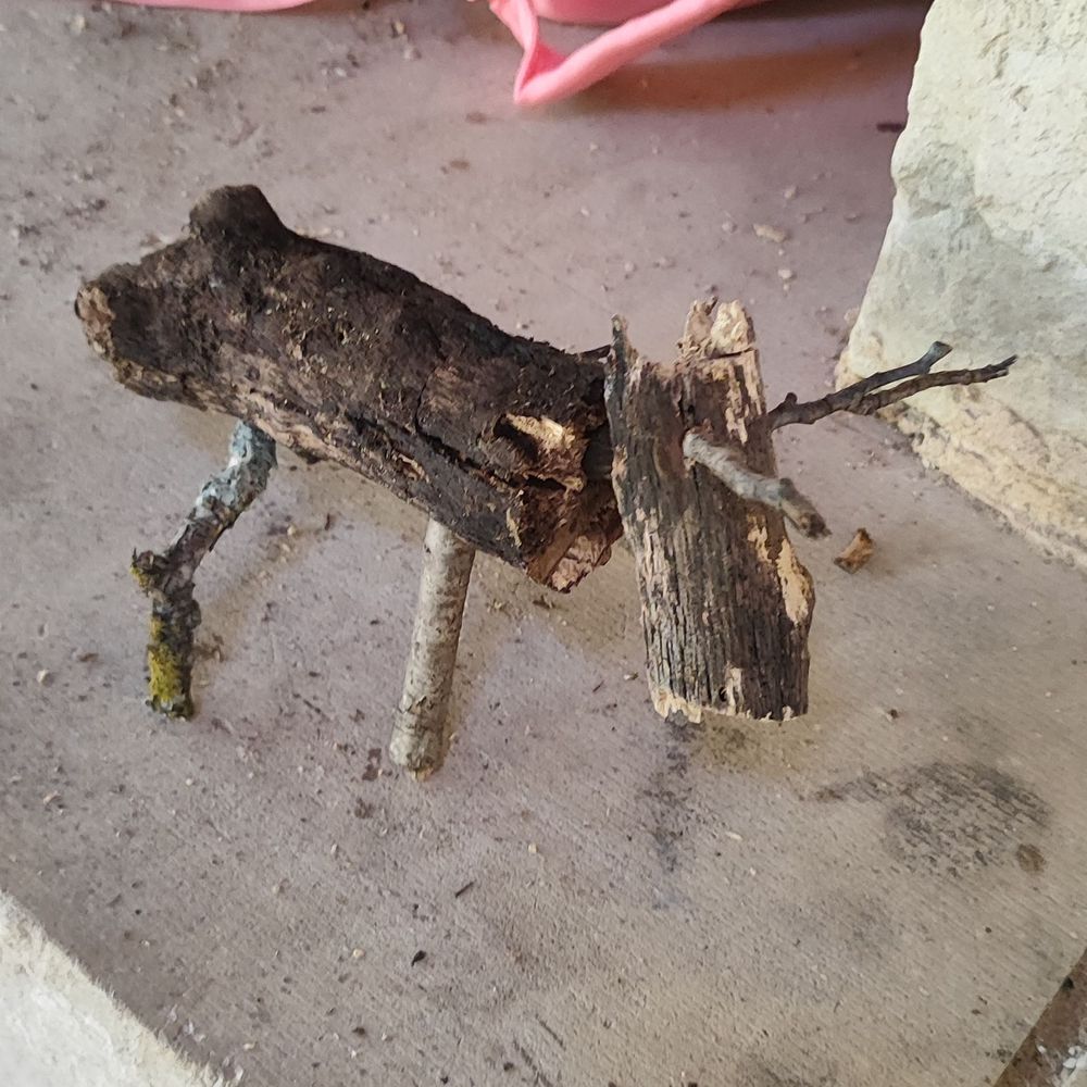 Wooden Moose