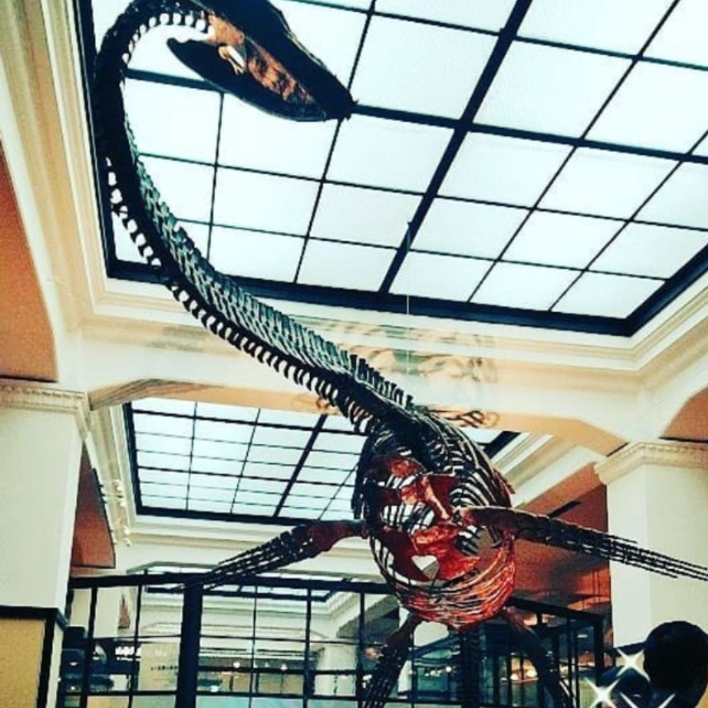 ノラ