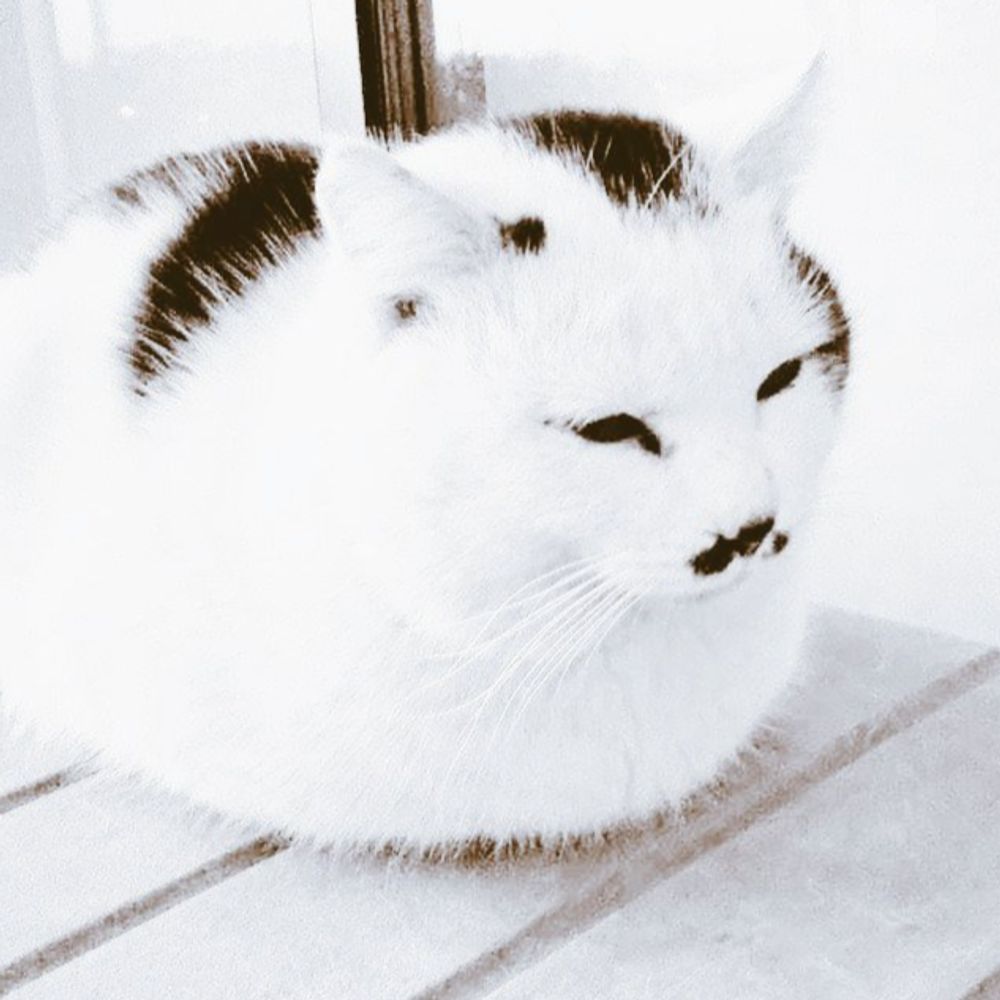 チビコちゃん