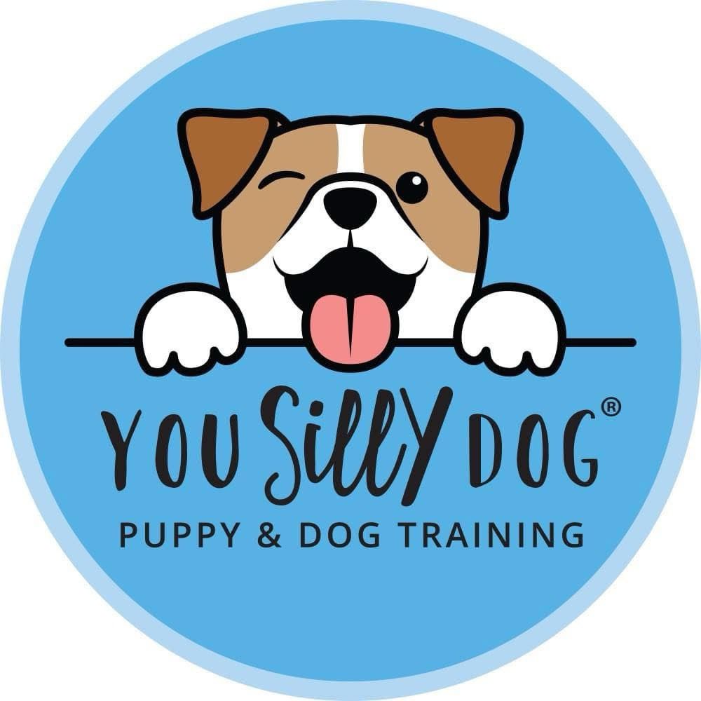 You Silly Dog LLC (Alisa Peters)