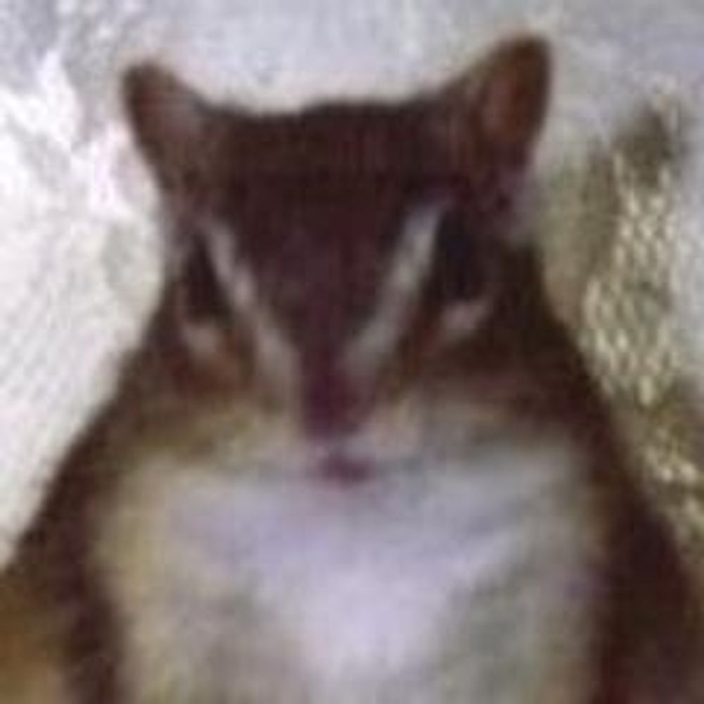 きょろりん
