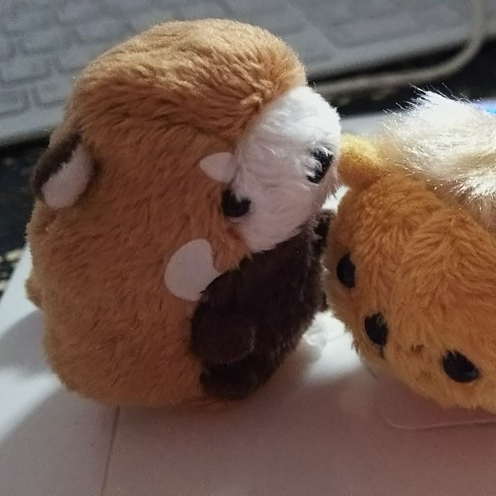 さち
