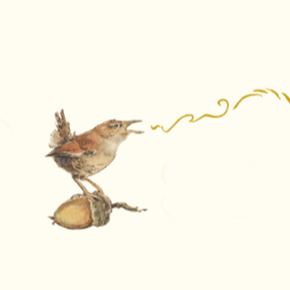 Spell Songs
