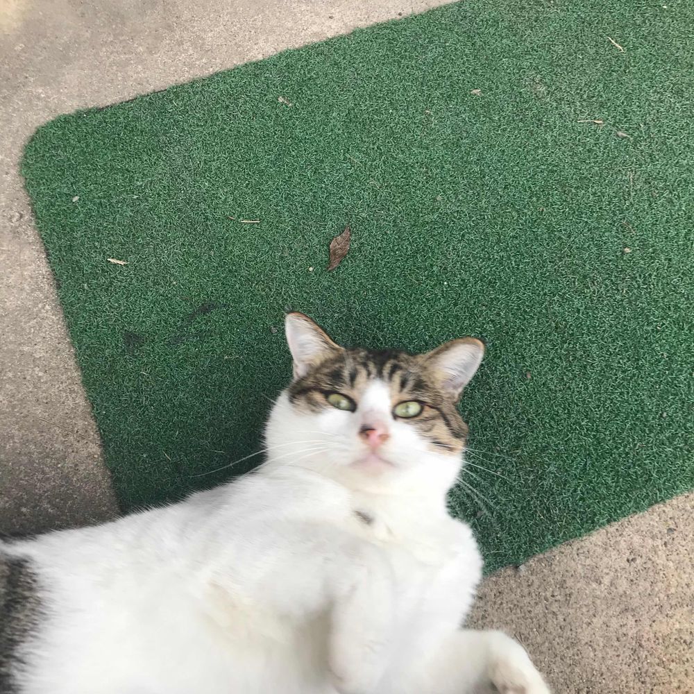 メキメキ