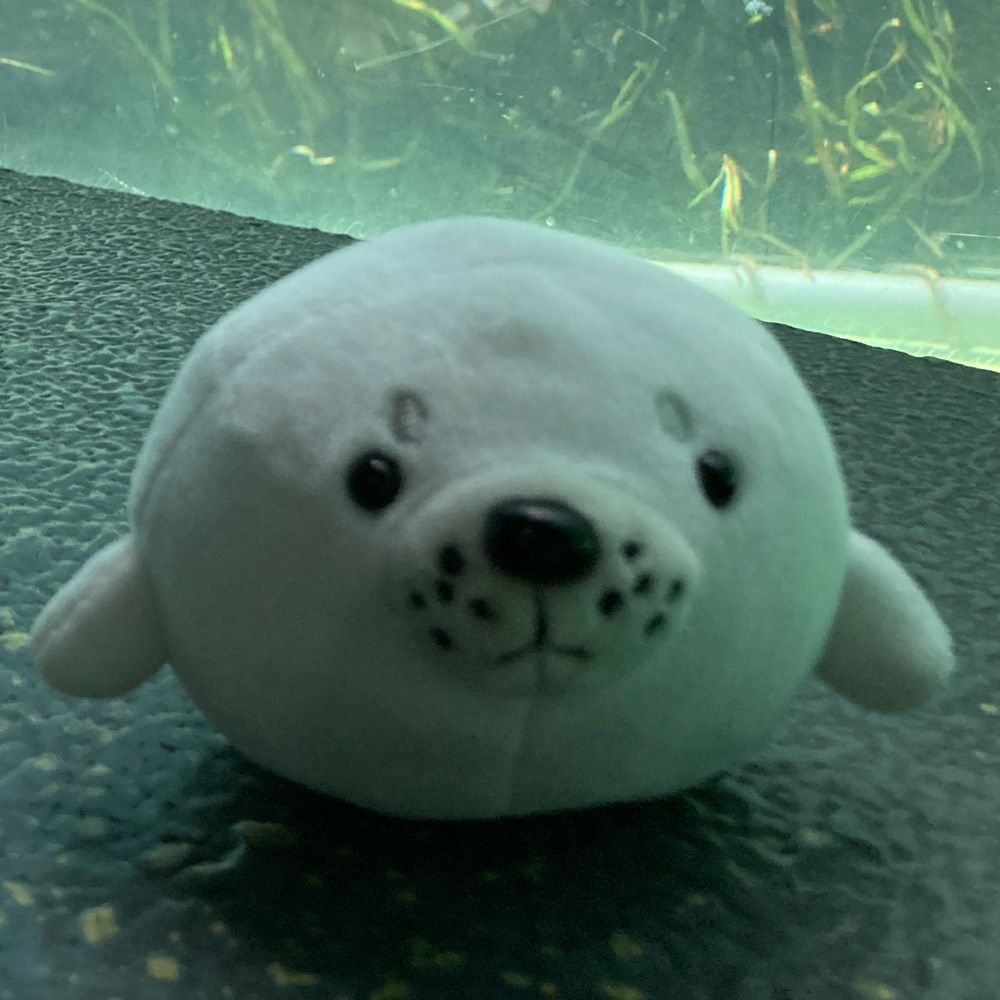 たま