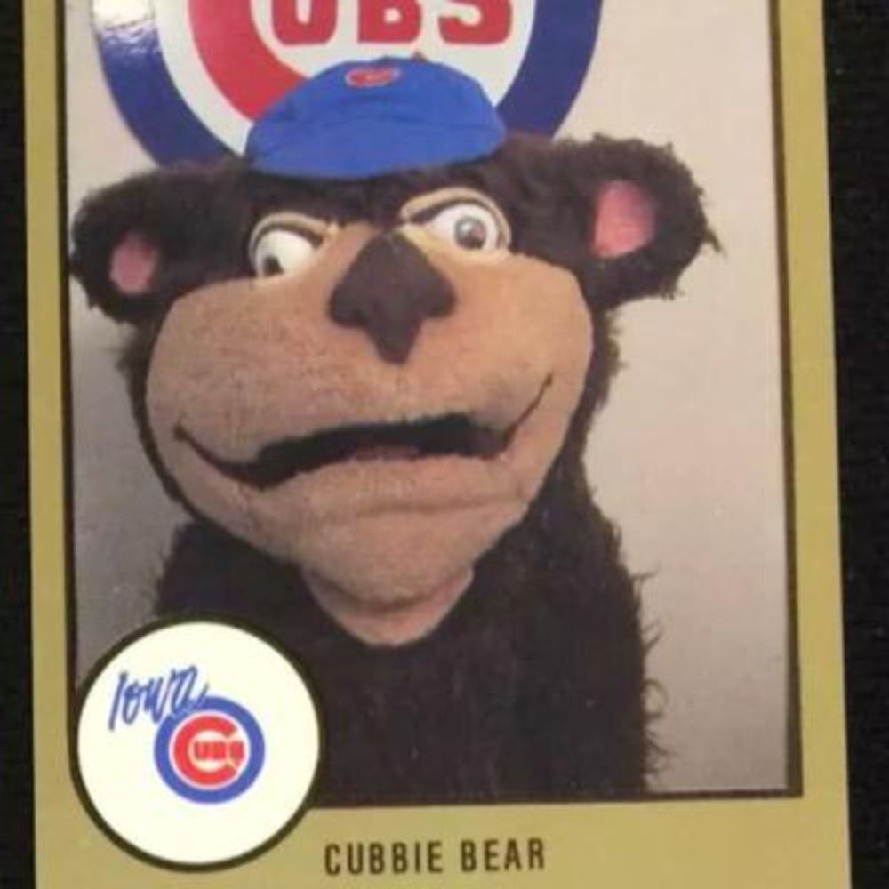 A Cubs Fan