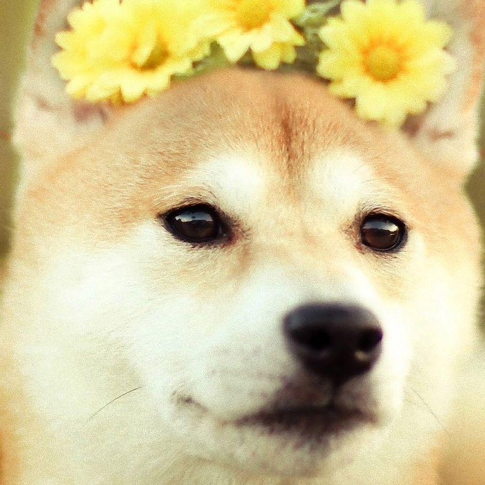 ソラみ