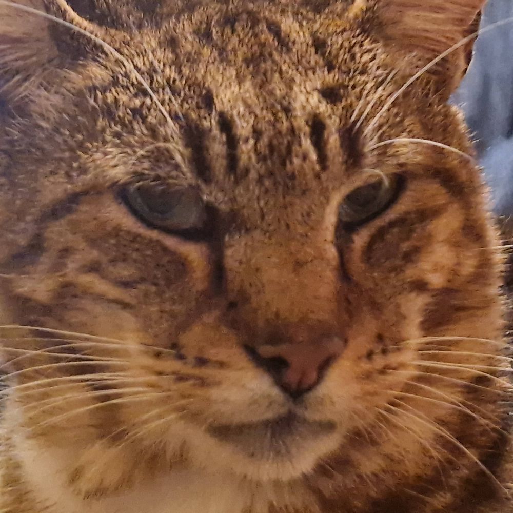 Sophie