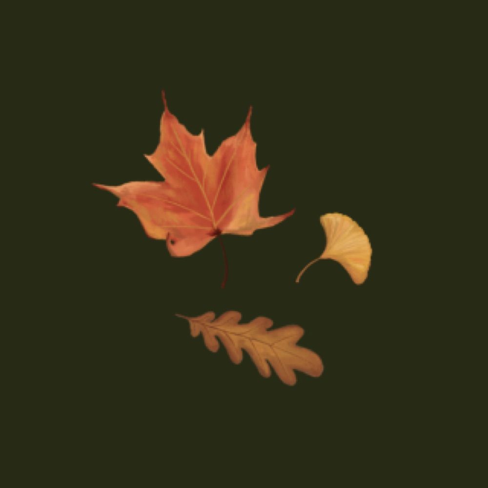 allison | scattered leaf studio