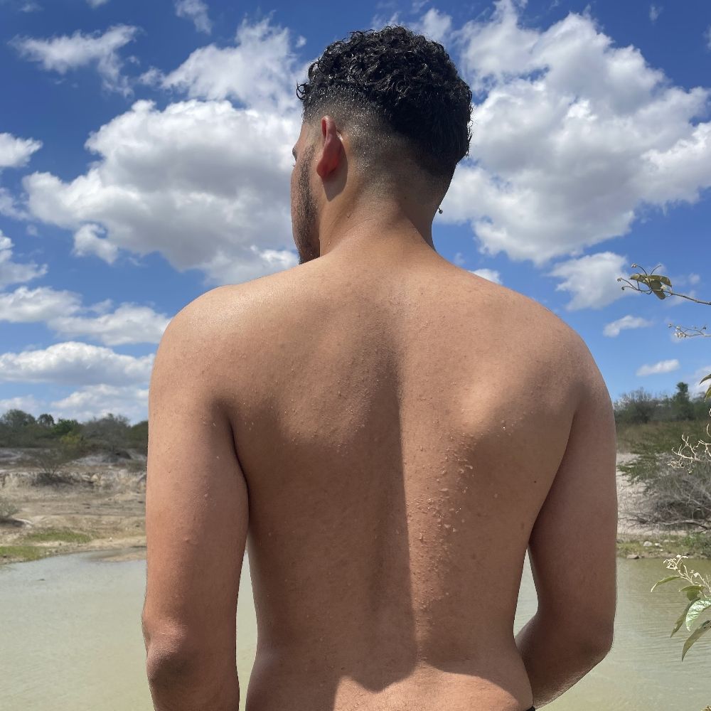 Novin