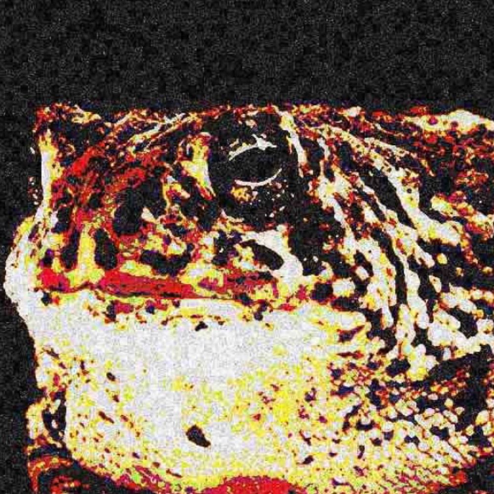 Atomic Toad