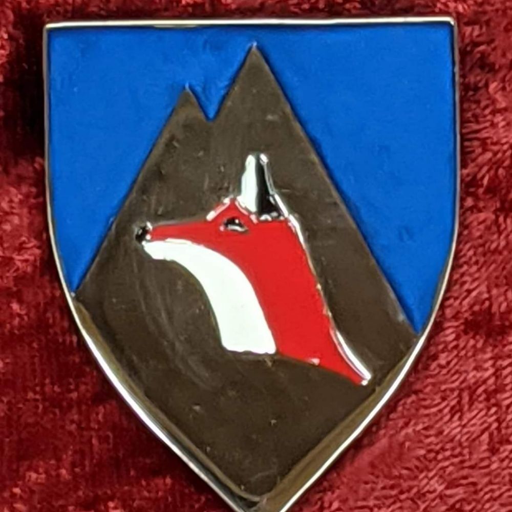 Red Fox Designs