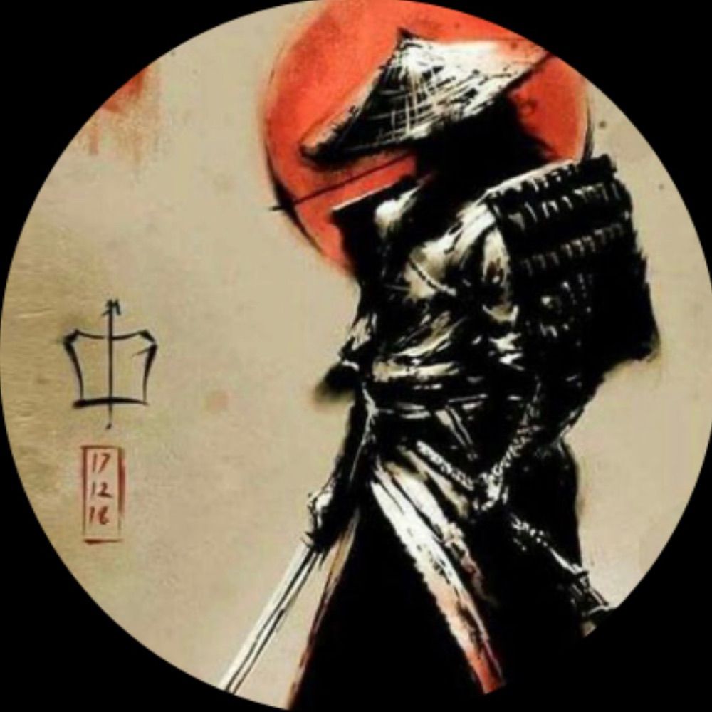 Enigma Ninja