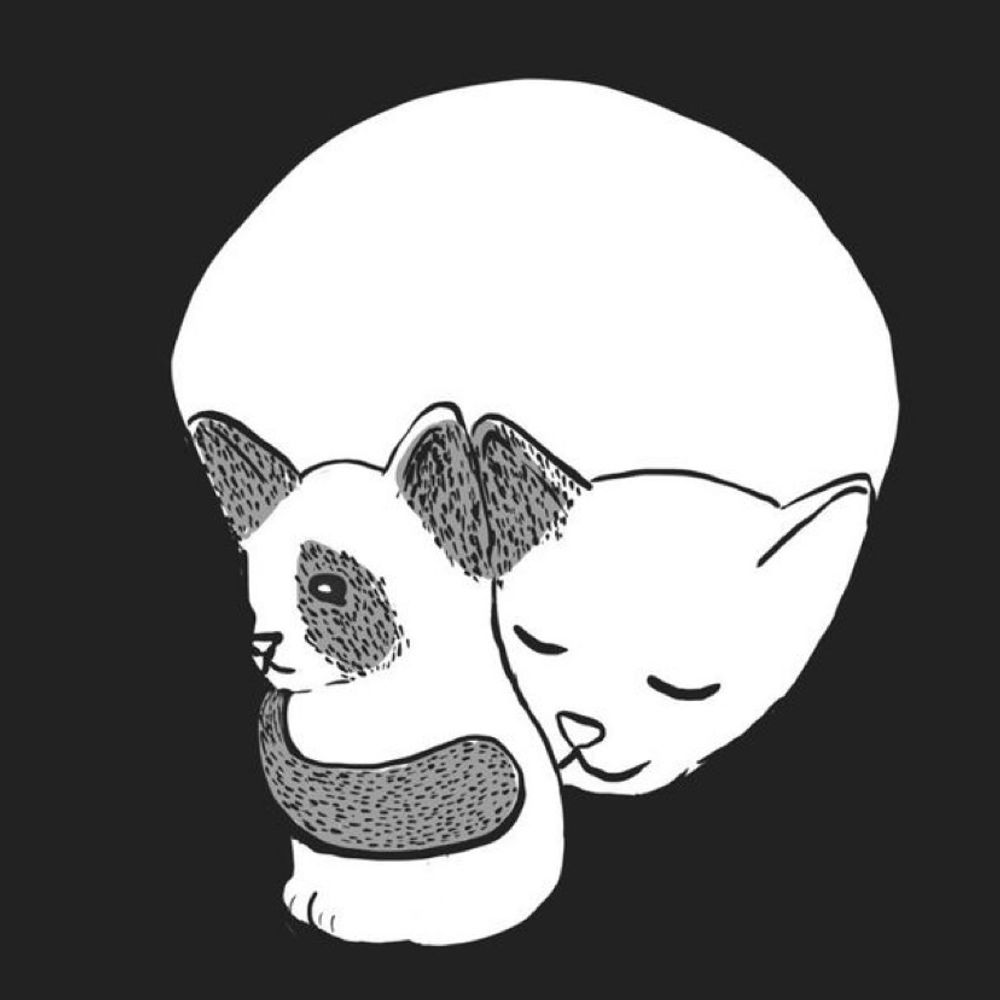 Felis Spectris