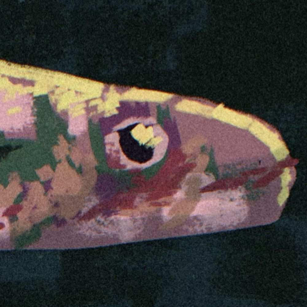 Diego Ilustra