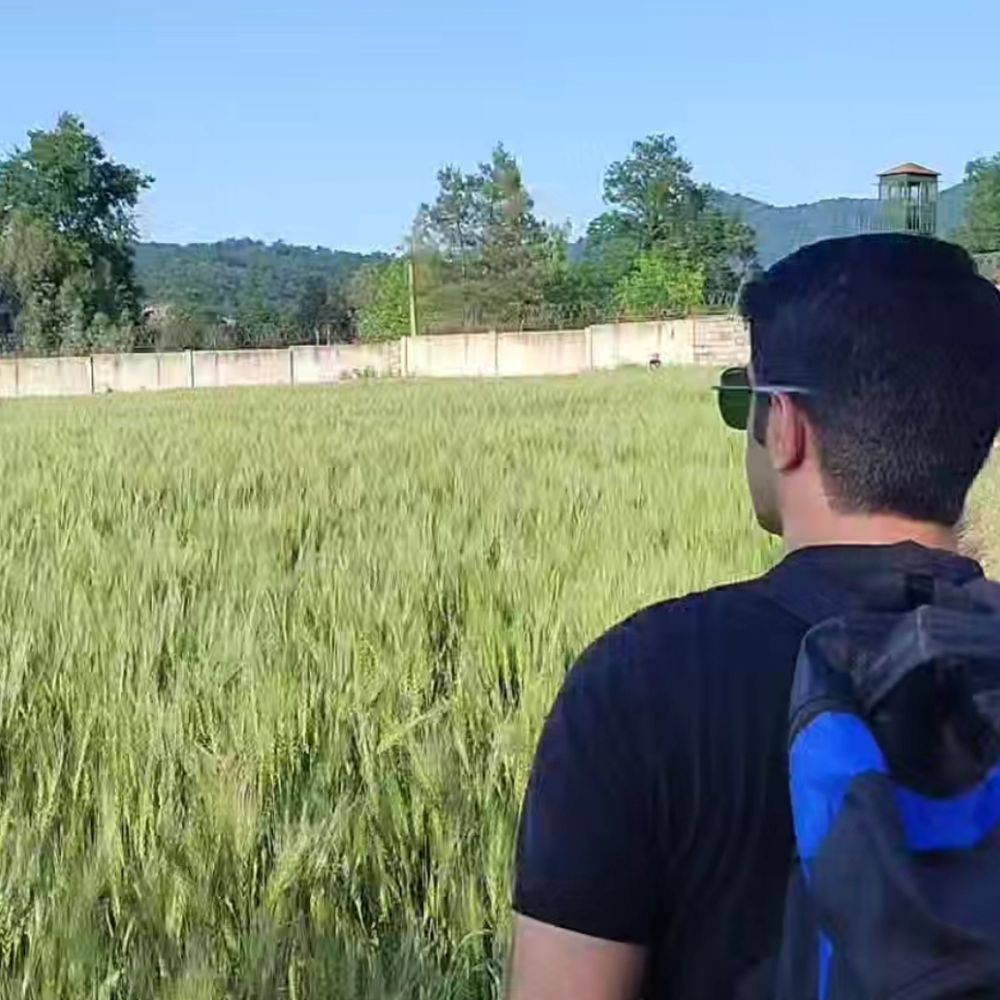 Amir