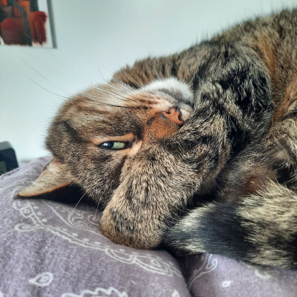Skye