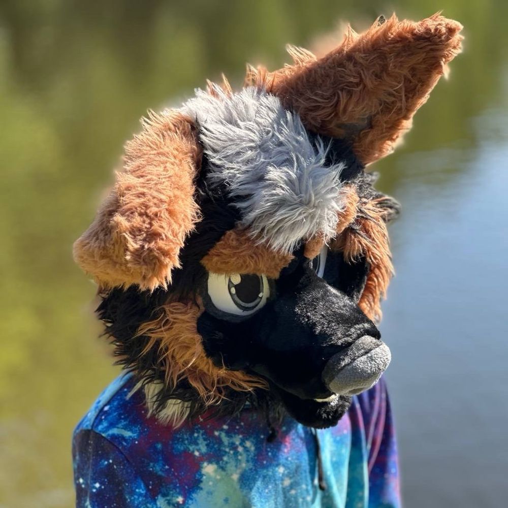 ChevyShep🔜NYFB🔜ANE