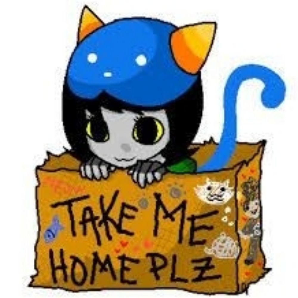 Nepeta chan