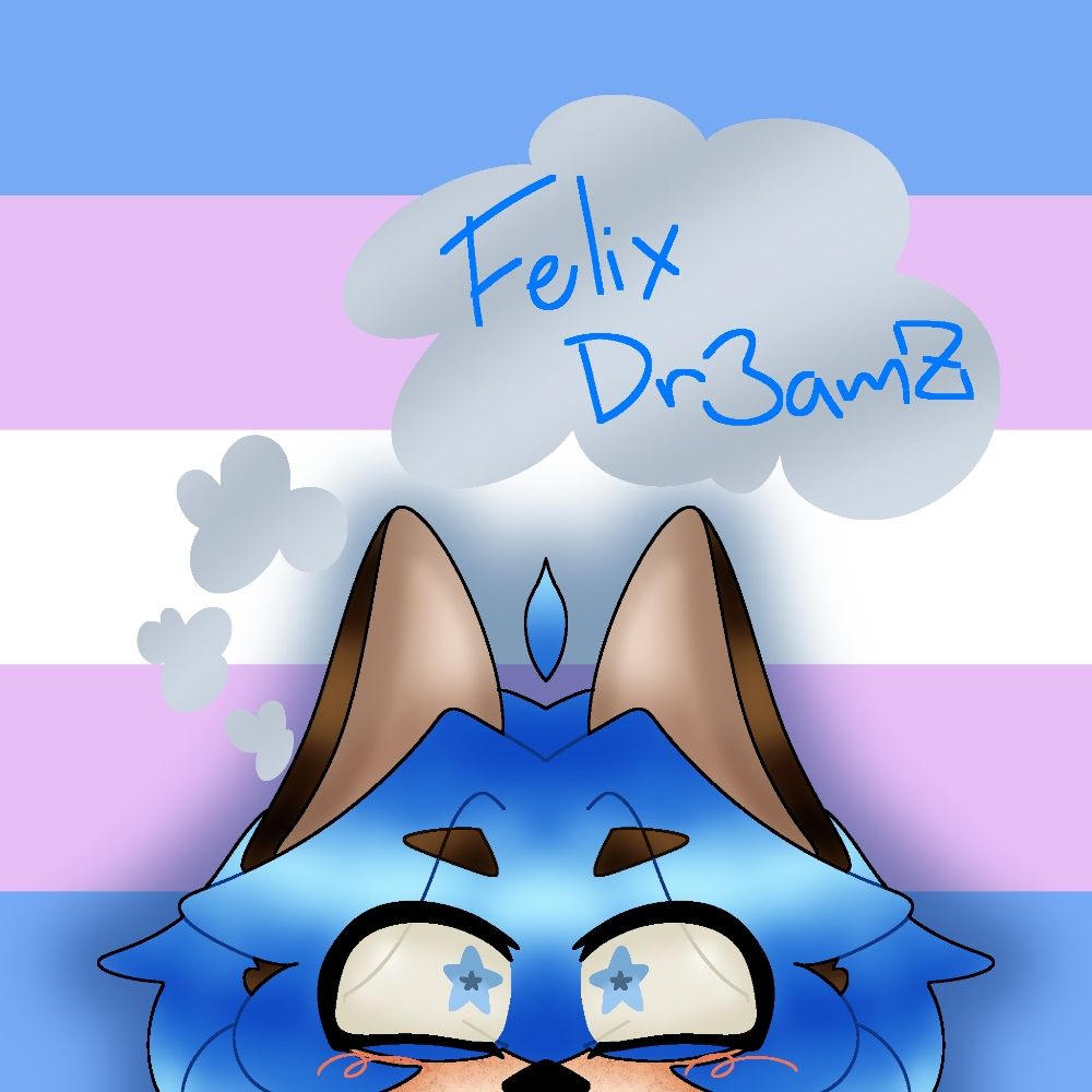 ‼️FELIX‼️