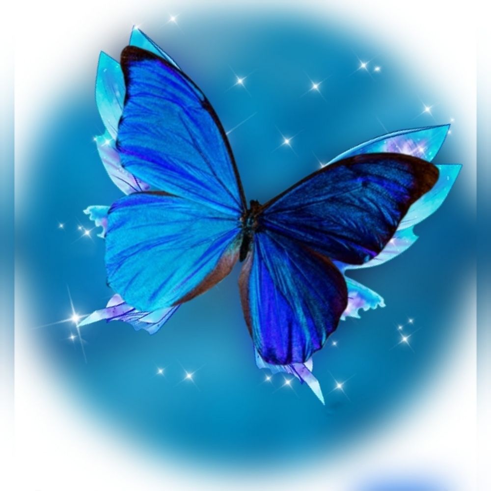   🧚‍♂️ Nana 🦋