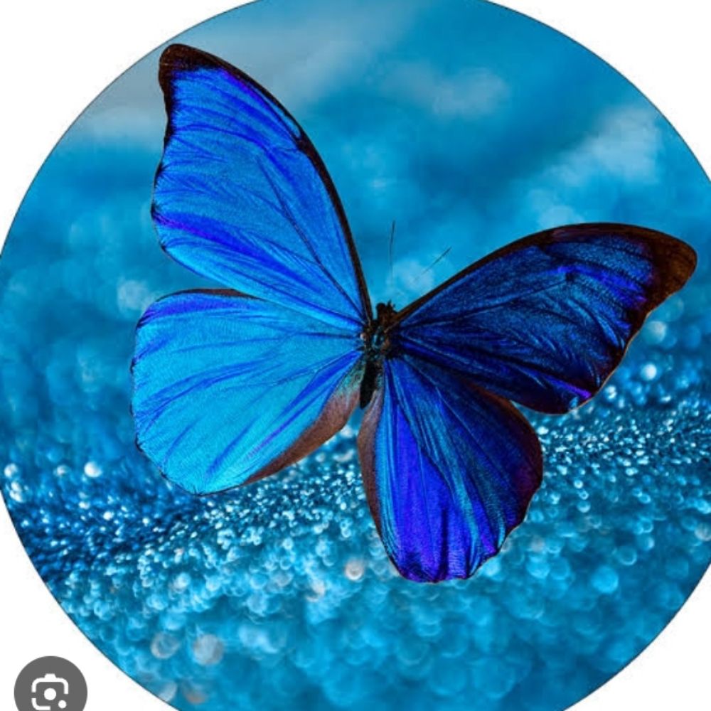   🧚‍♂️ Nana 🦋