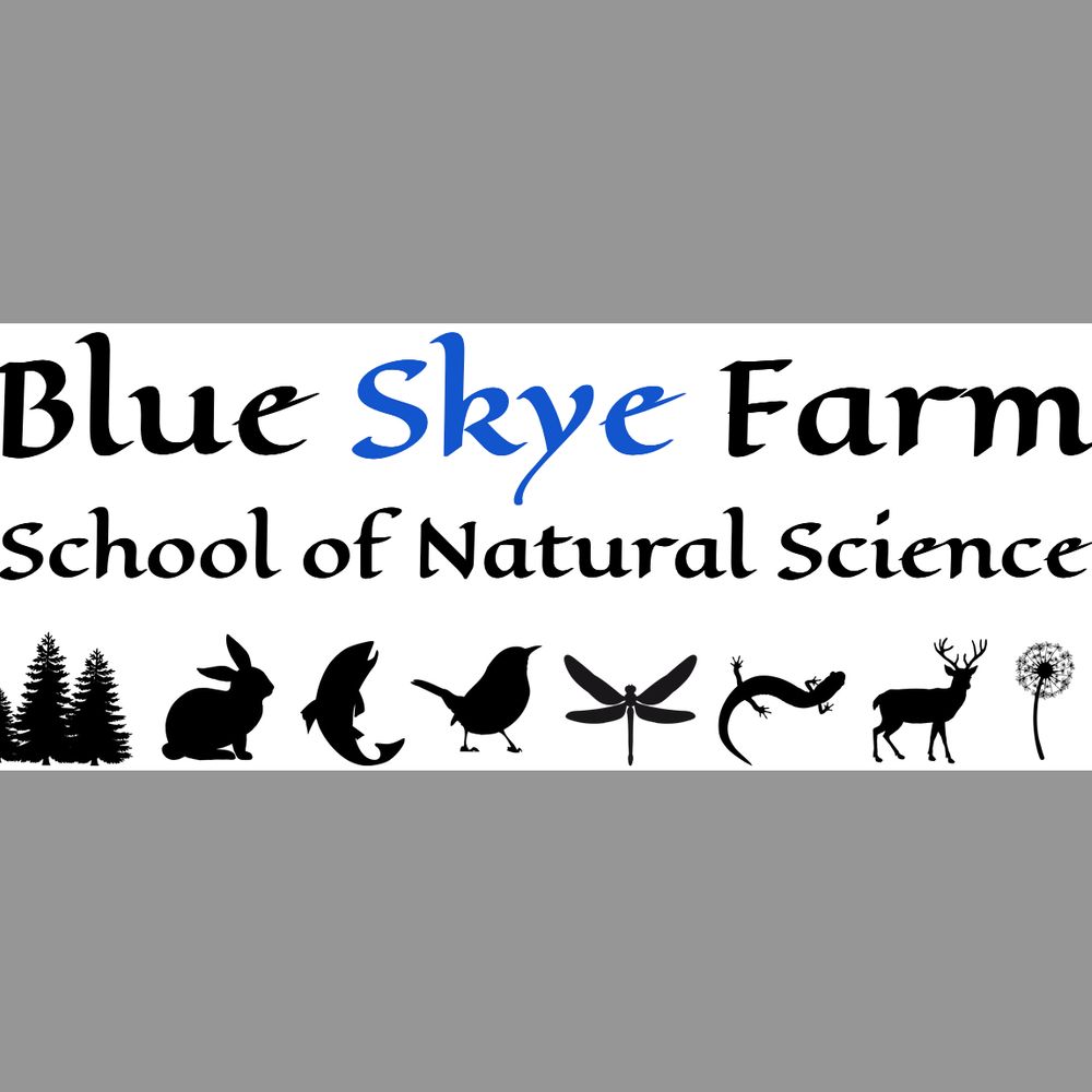 Blue Skye Farm