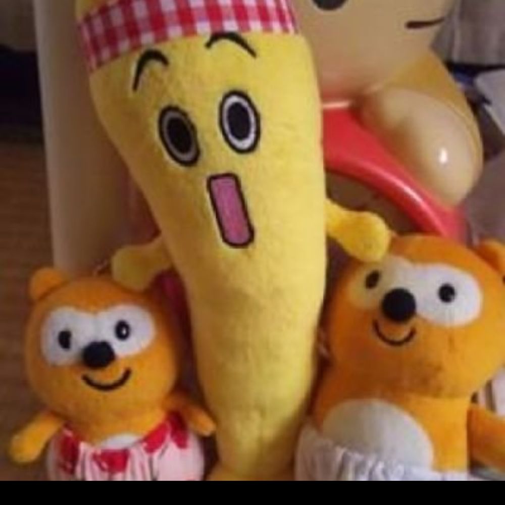 cnomugi