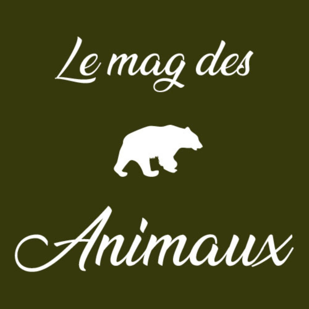 Le Mag des Animaux - Ouest-France