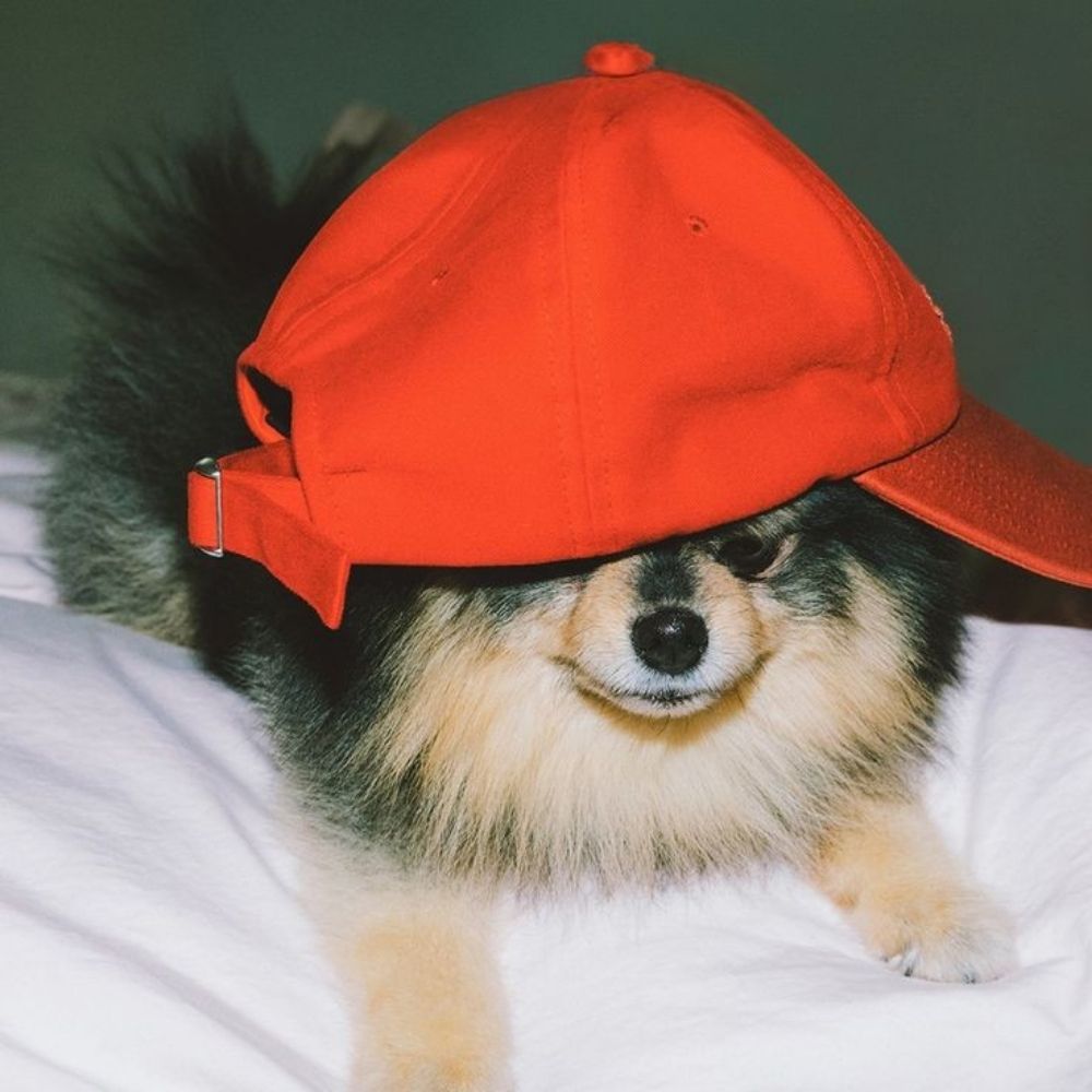 elle