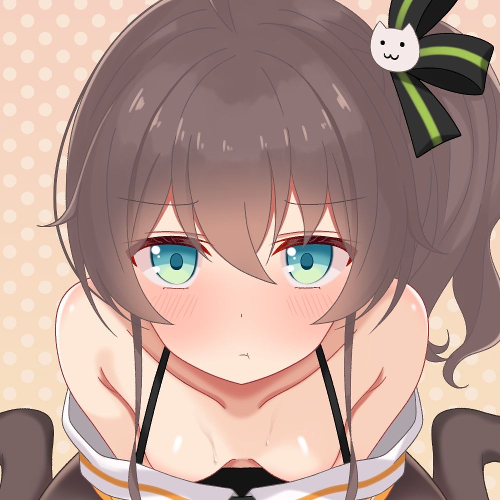 三ツ星ぬこ