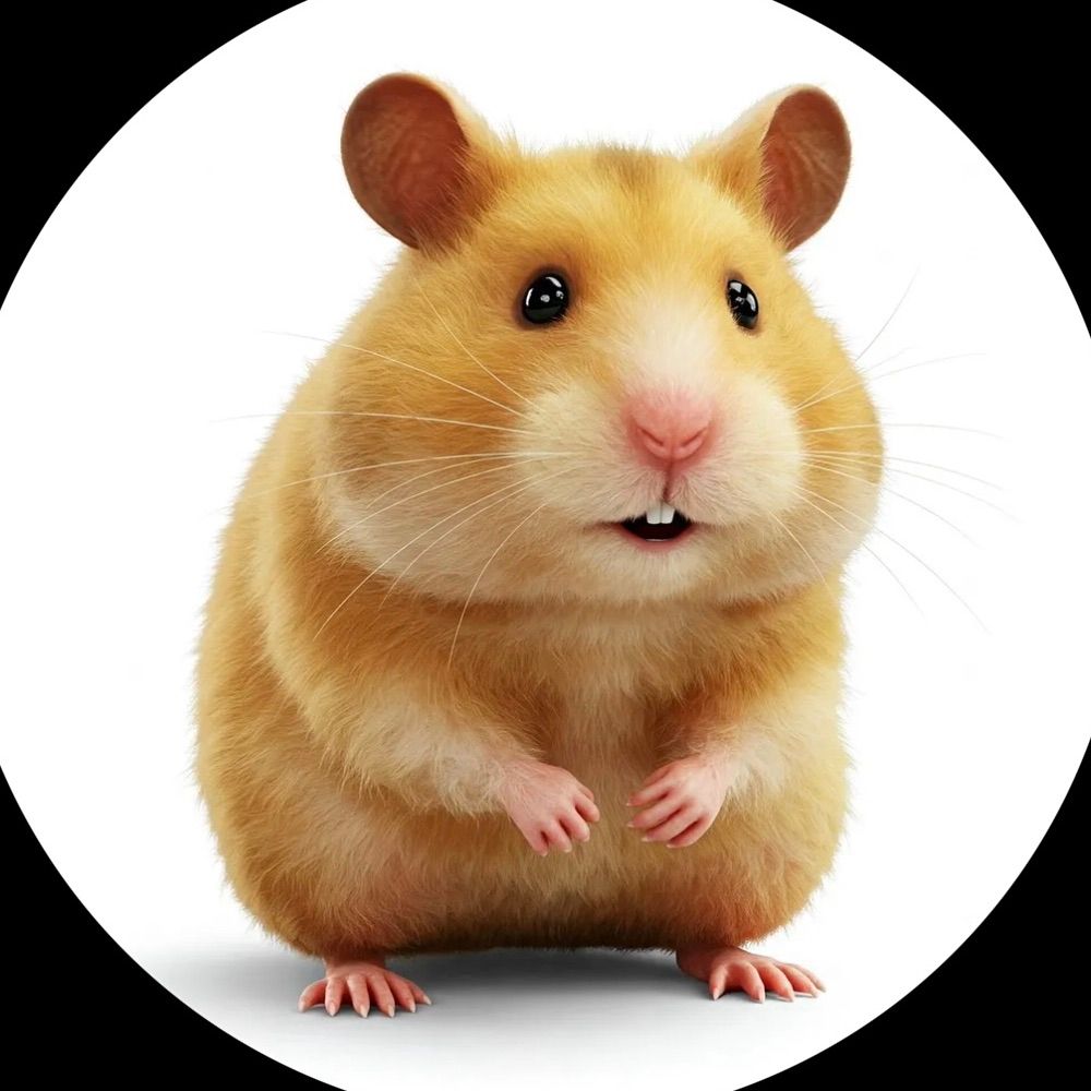 hamsteraistudios