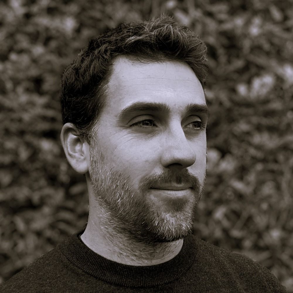matthew bull