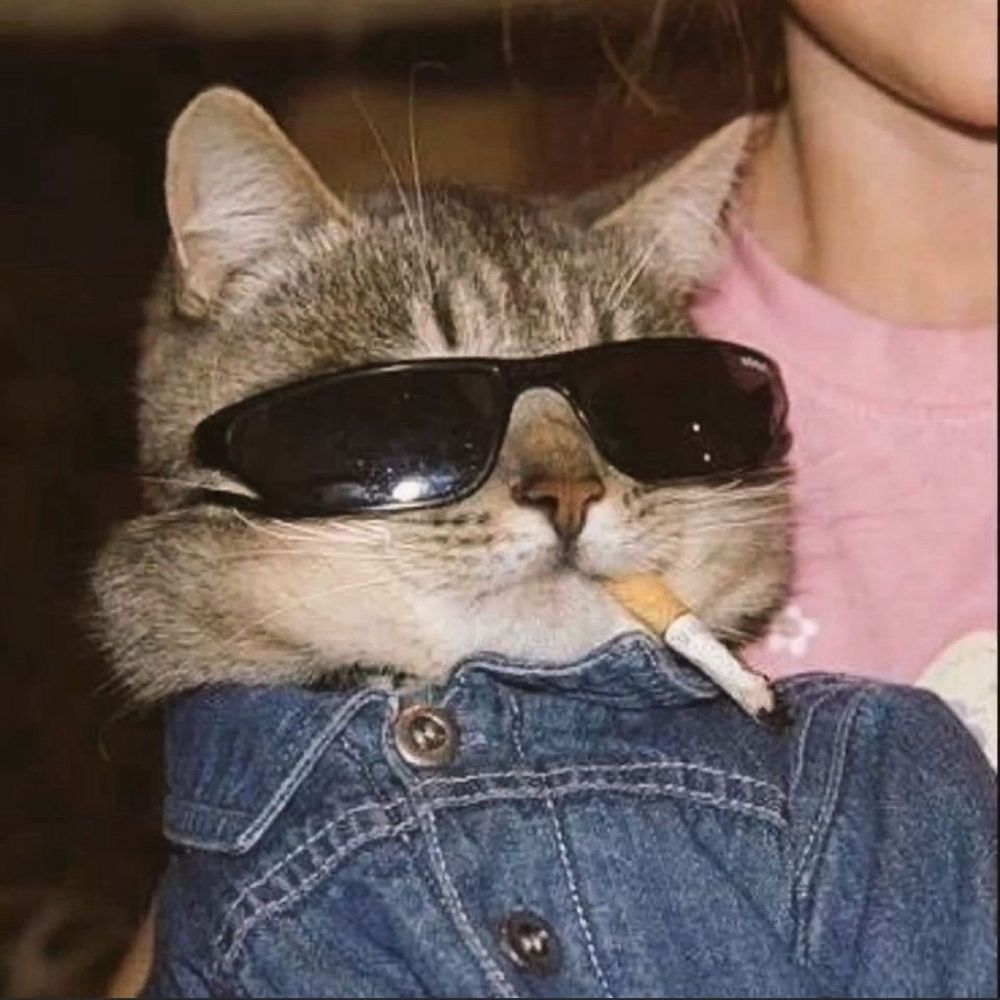 Tia xanda eu preciso muito me desconstruir