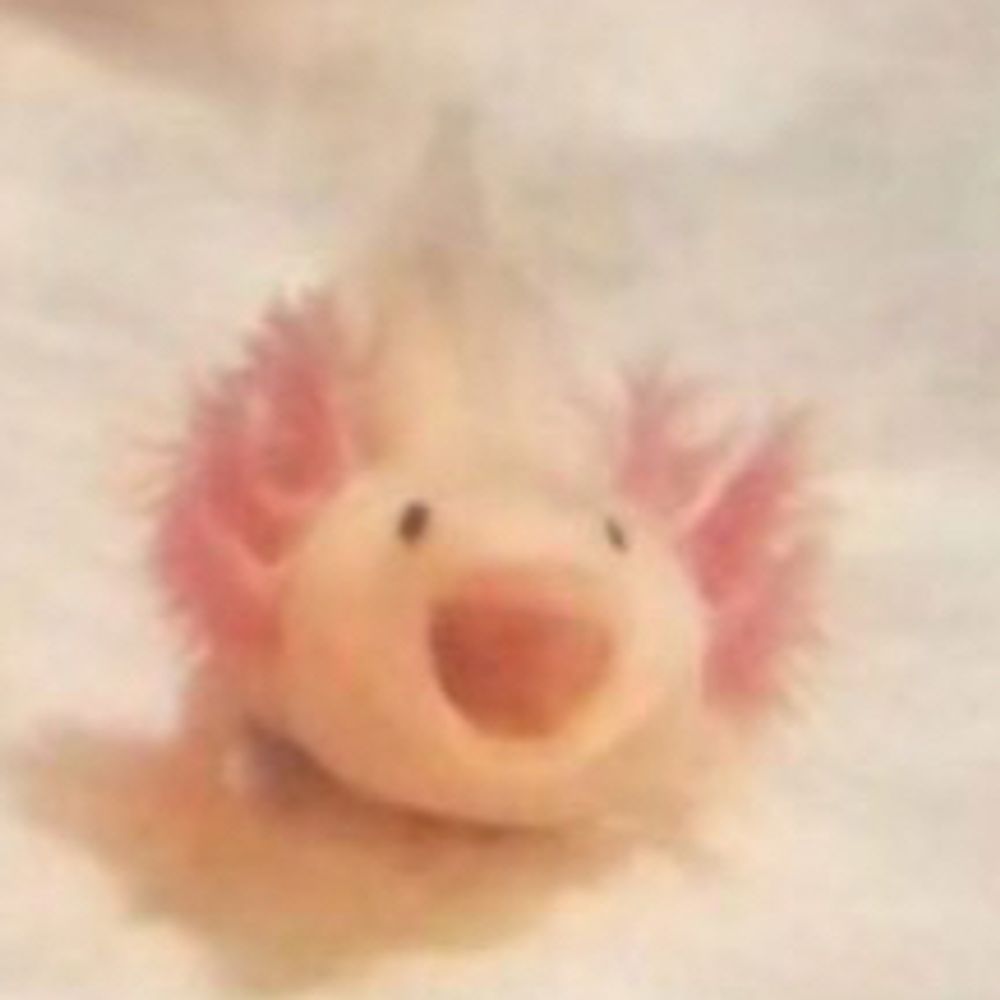 라디