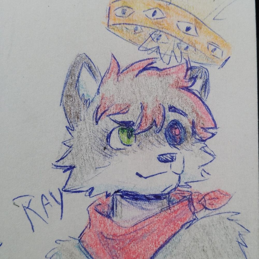 🦝•ʀᴀʏ ʟᴠs sᴘʀᴇᴇɴ•✨