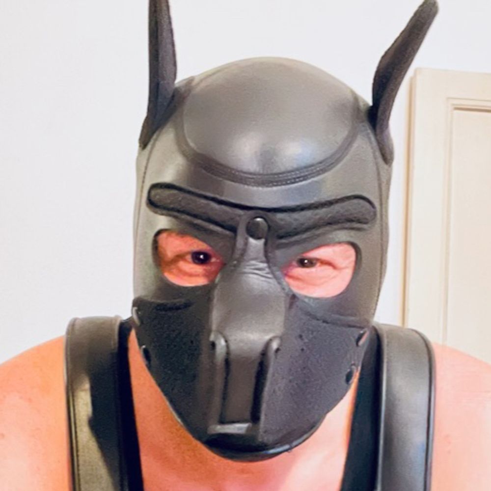 theKinkyGuy