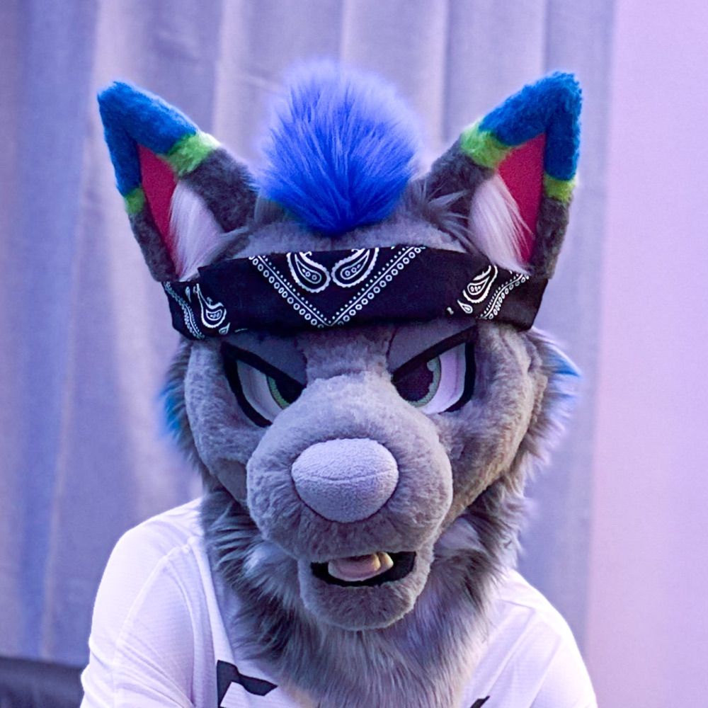 Alex the Wolf 🐺💙