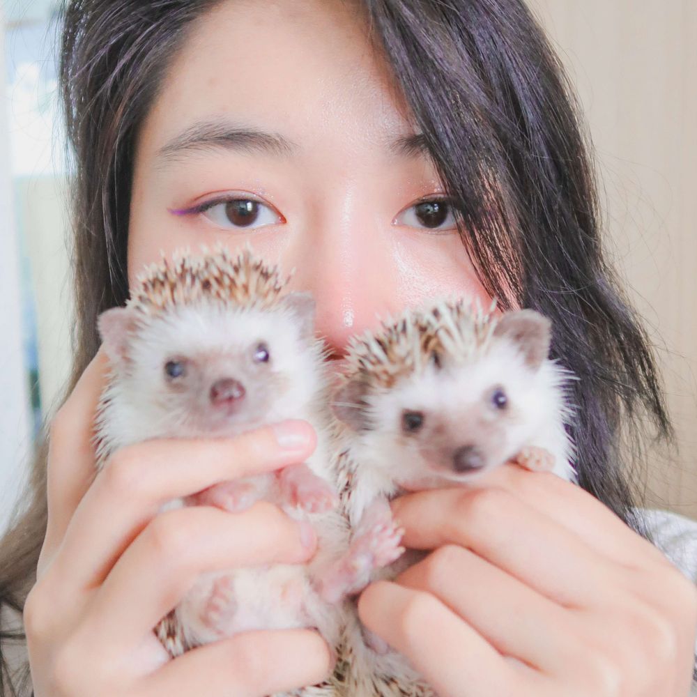 ·͜·♡ เป็ดแป้กฟหกด่าสว.
