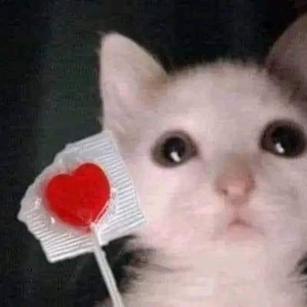 🌙