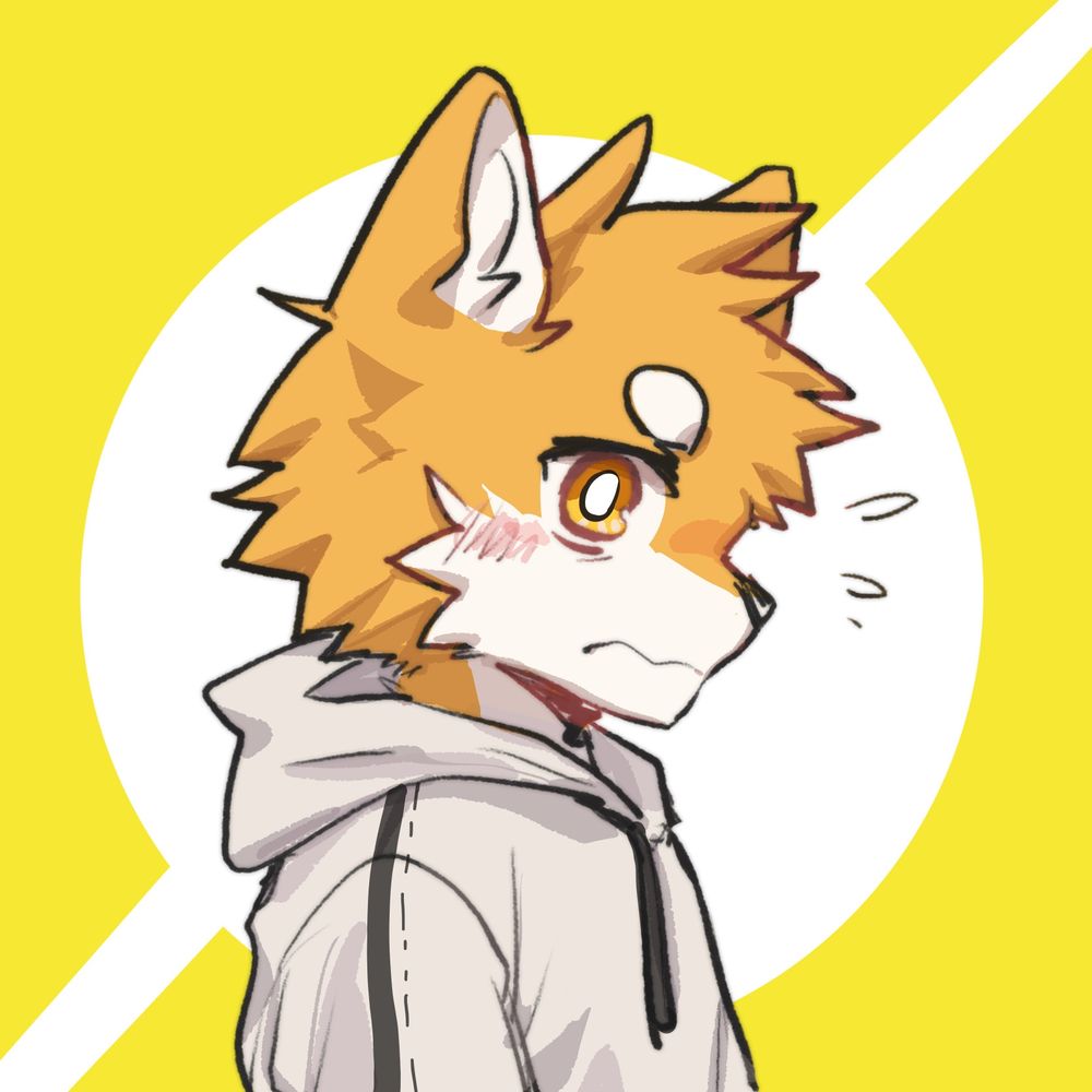 科尔