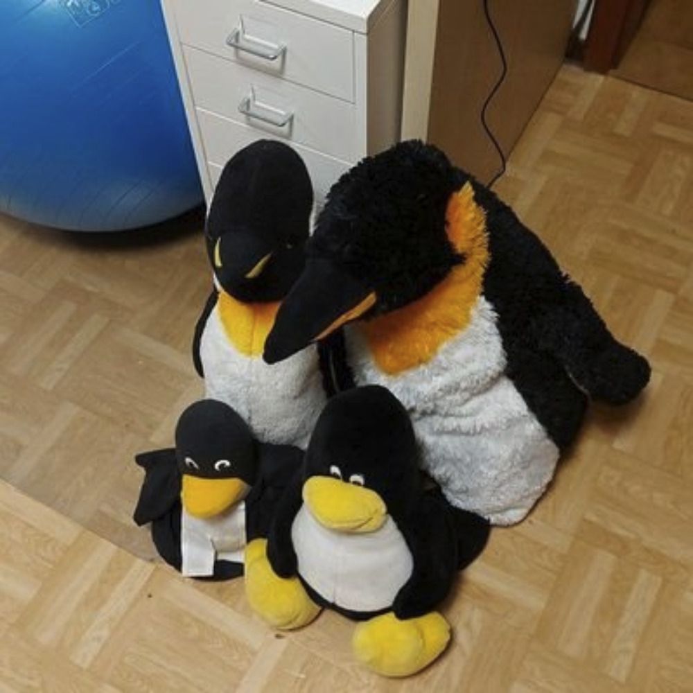 Patrick@PinguinWG