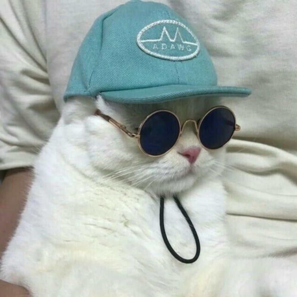 말랑한도우