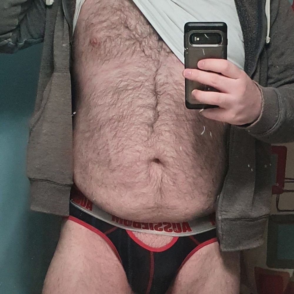 British Bear