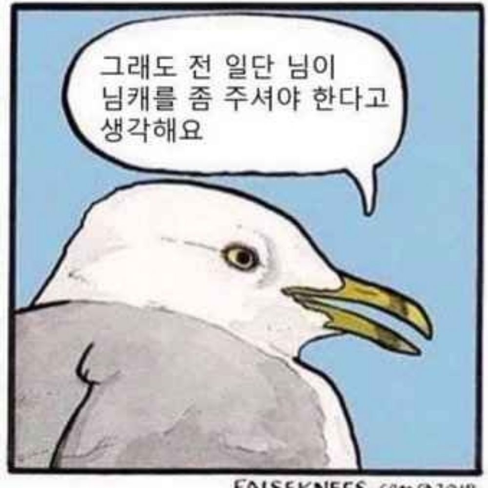 검개