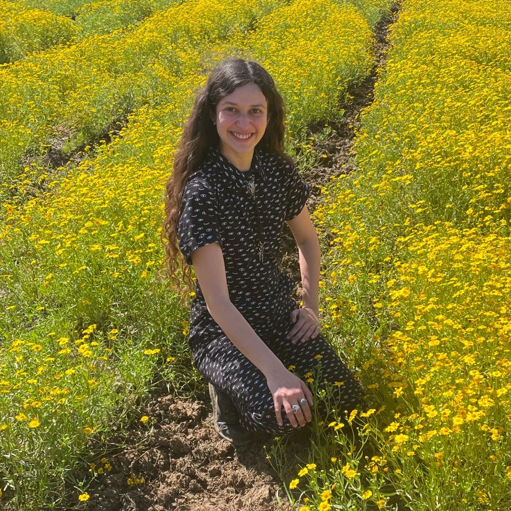 Planthropologist 🇲🇽🌱