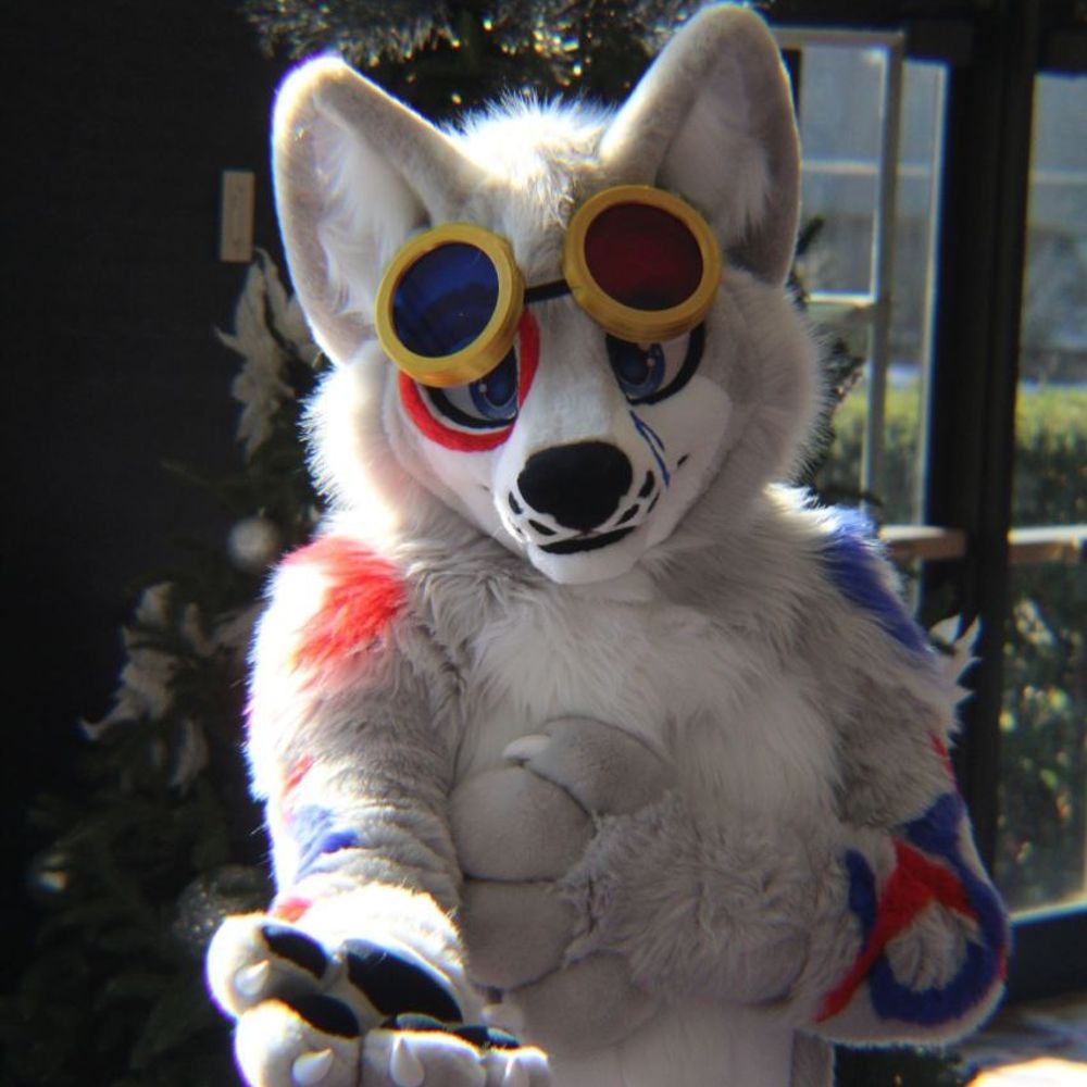 Ringgar @ Anthrocon 2024's avatar