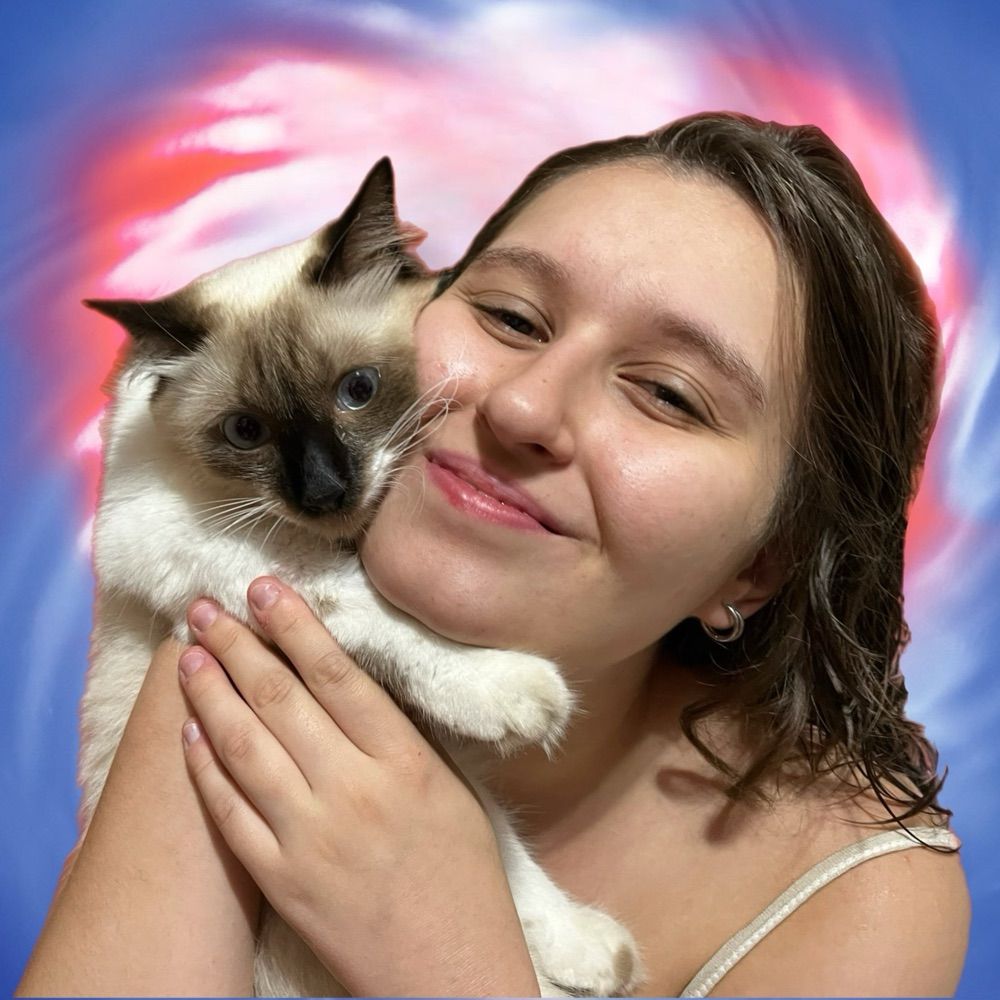cat 🦋