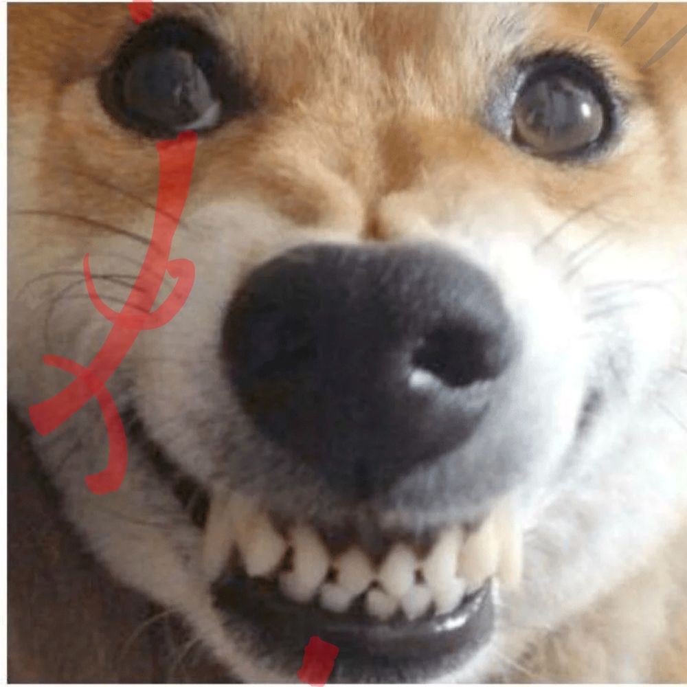 소신